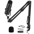 Professional Microphone with Boom Arm - Black