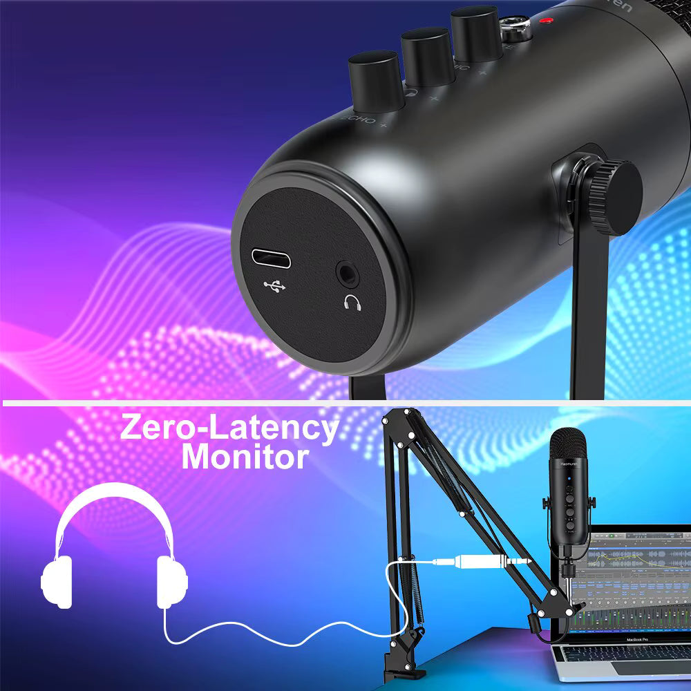Professional Microphone with Boom Arm - Black